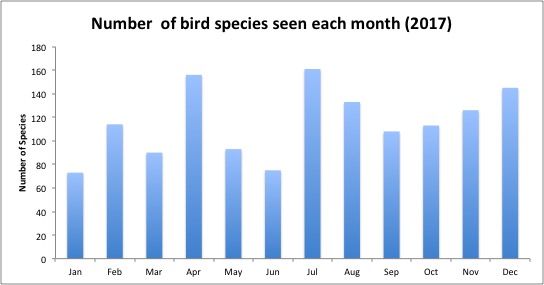 bird by month