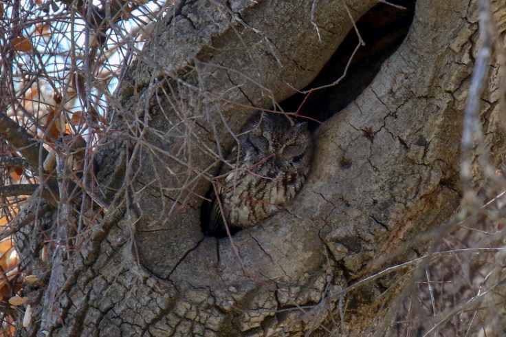 3AB1AA3E-947C-4446-9F81-719800A44EEC