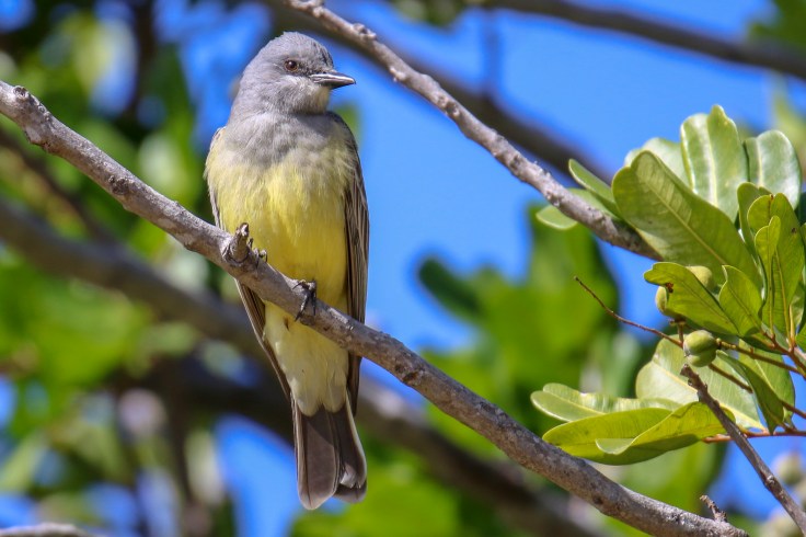 7927B86D-F8AB-4079-82F7-224849C65630