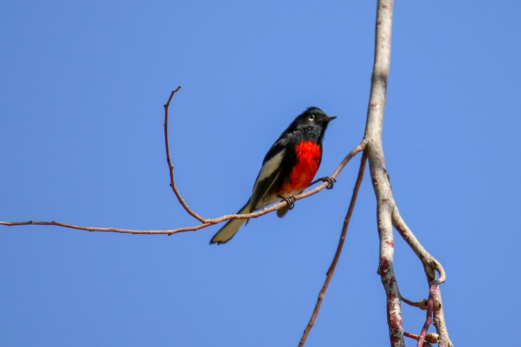 82D3CAE9-9AC3-4335-9335-51CF1BA35A98