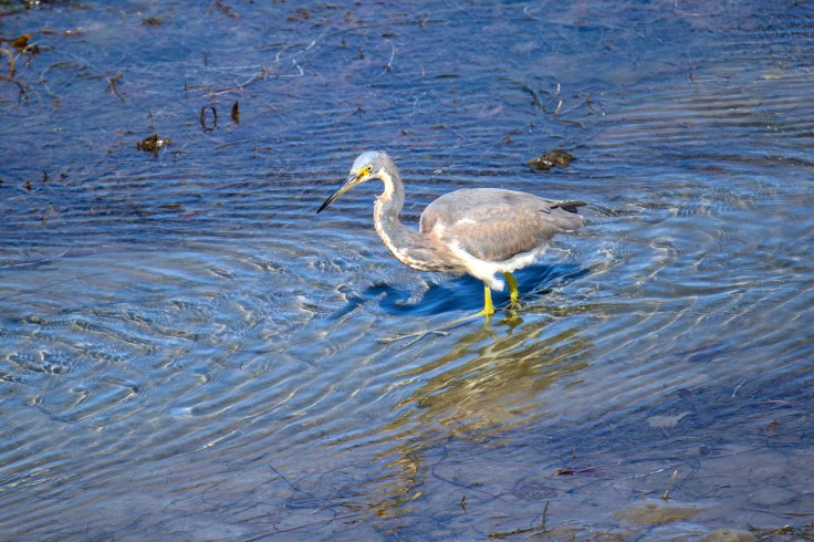 912B6B73-6080-4AF1-AFFA-C80F324B0C68