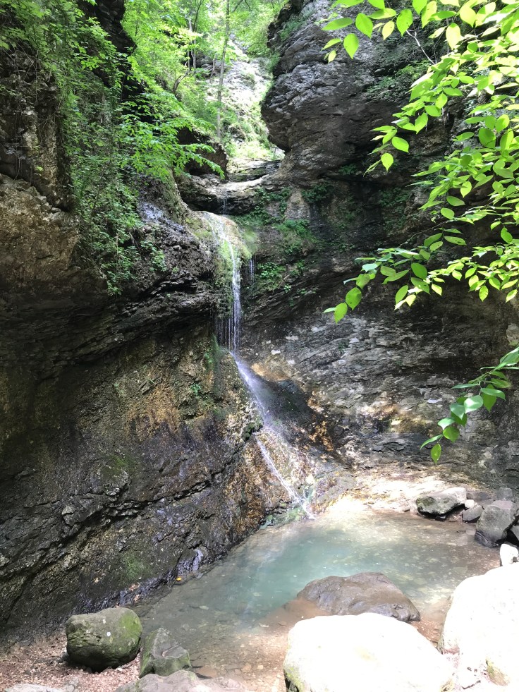 A3DEA41A-18C2-40C8-9BDC-59E7BC8E82F2