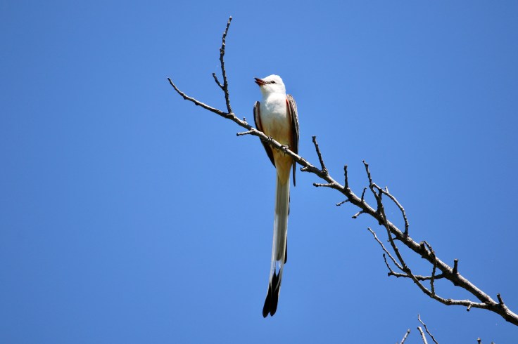 B6177663-1B13-4837-9D77-DE2210B1DBDC