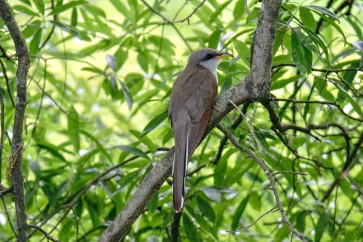 BE227E37-AEA3-429B-8DB2-A83F8C261A57