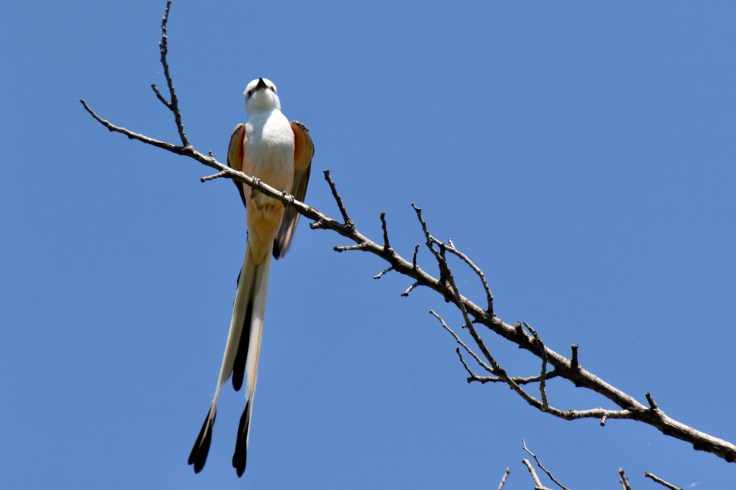 CAD08E3B-34AE-48BF-A84A-8491A62B7BA1