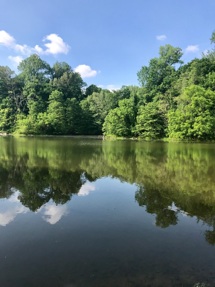 D2D8299B-DAB7-4D49-BEE9-493423BC4544