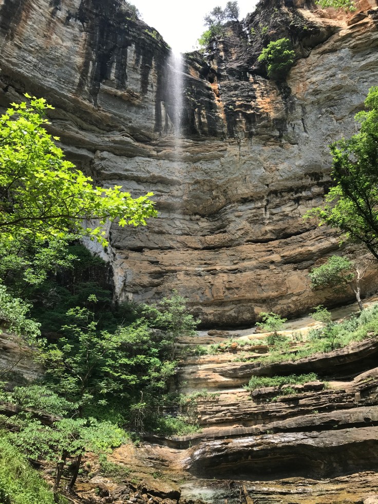 EDA81CB9-2ED0-447F-AEC5-921791FD2A84