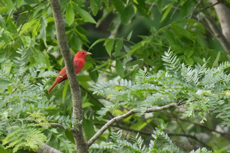 EE963944-7A64-42A0-B207-F97CEB2AA5CB